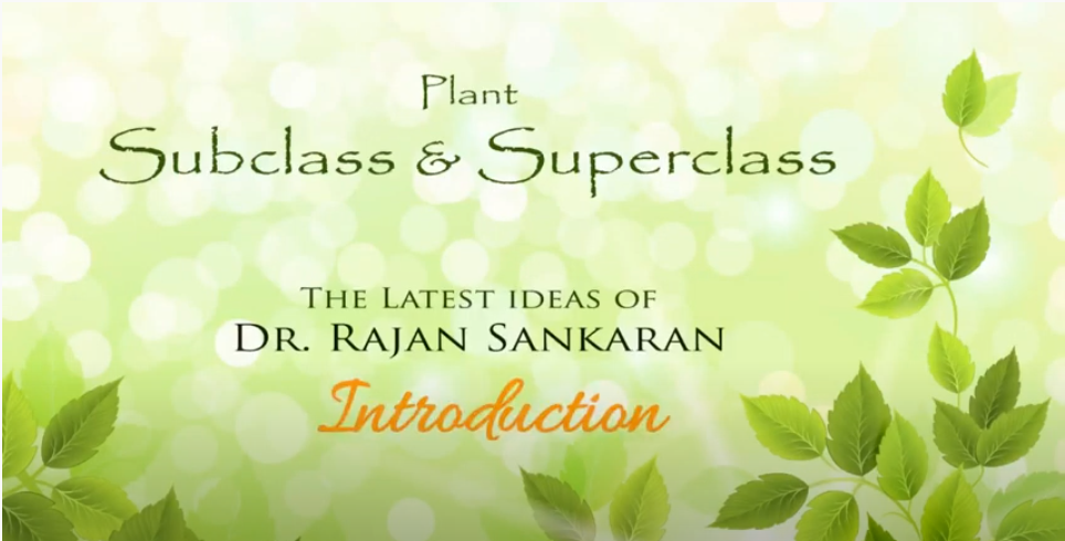 Plant Subclass & Superclass 1