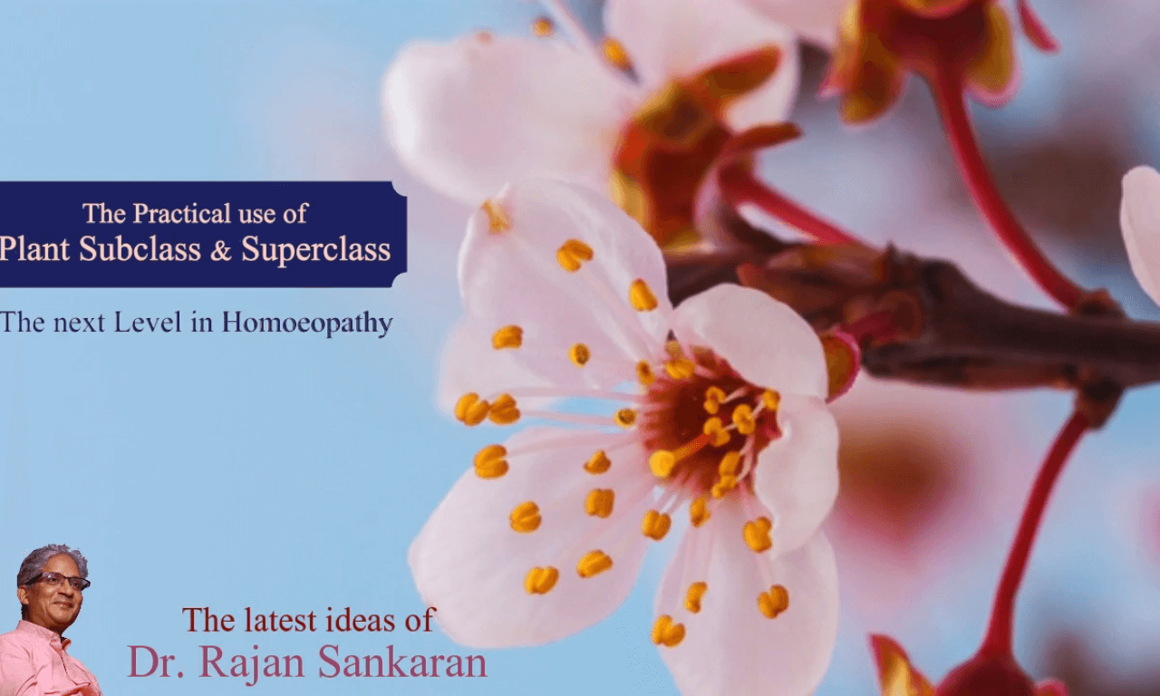 Practical use of Plant Subclass and Superclass 2