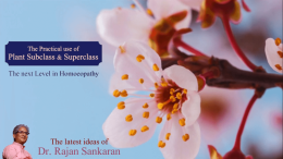 Practical use of Plant Subclass and Superclass 2