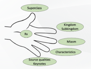 The 5-finger method image