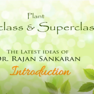 plant subclass superclass 1