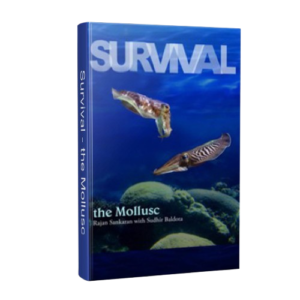 survival the mollusc 1536x1536 removebg preview