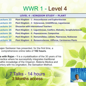 wwr bundles level 4