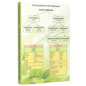 Plant Chart – The Sensation in the Subclasses