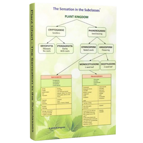 Plant Chart – The Sensation in the Subclasses