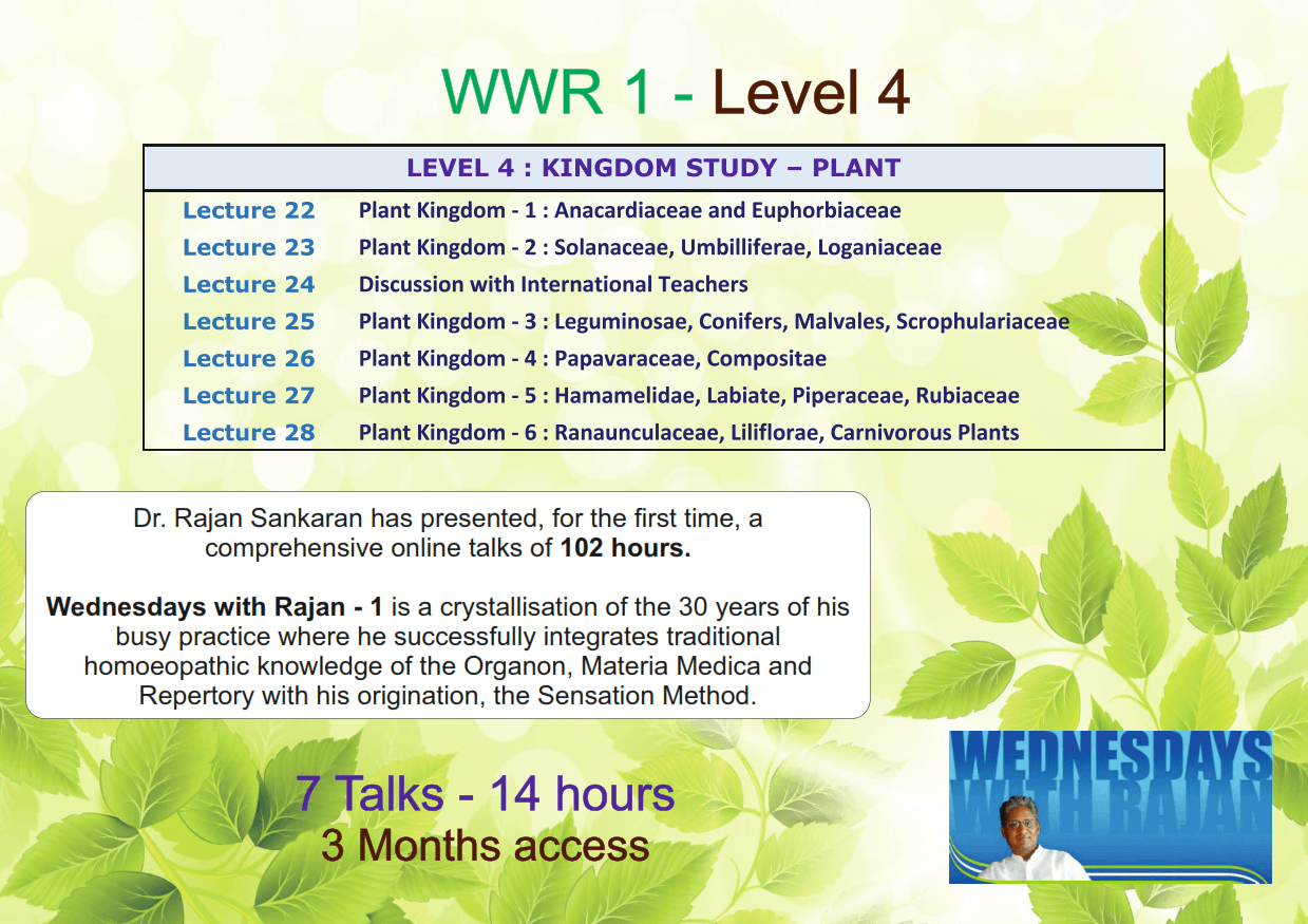 wwr bundles level 4.png