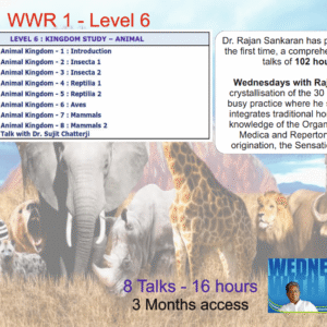 wwr bundles level 6.png